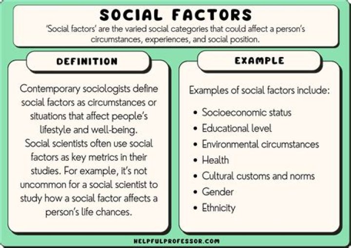 A Journey Into Relatability, Humor, And Social Impact