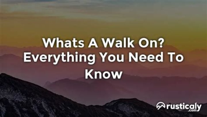 Everything You Should Know |