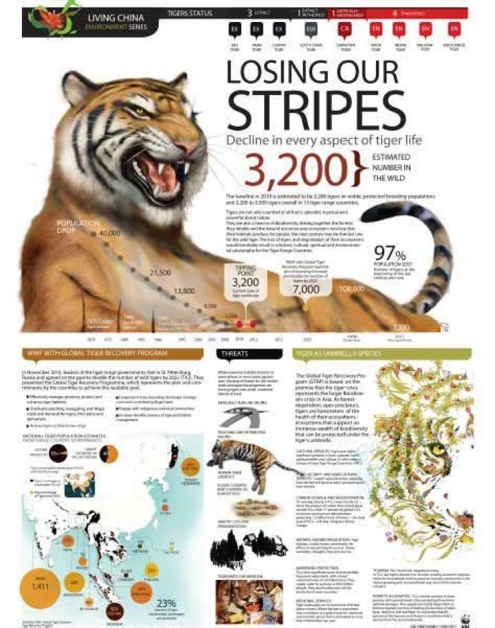 How Many Tigers Are Left In The World |